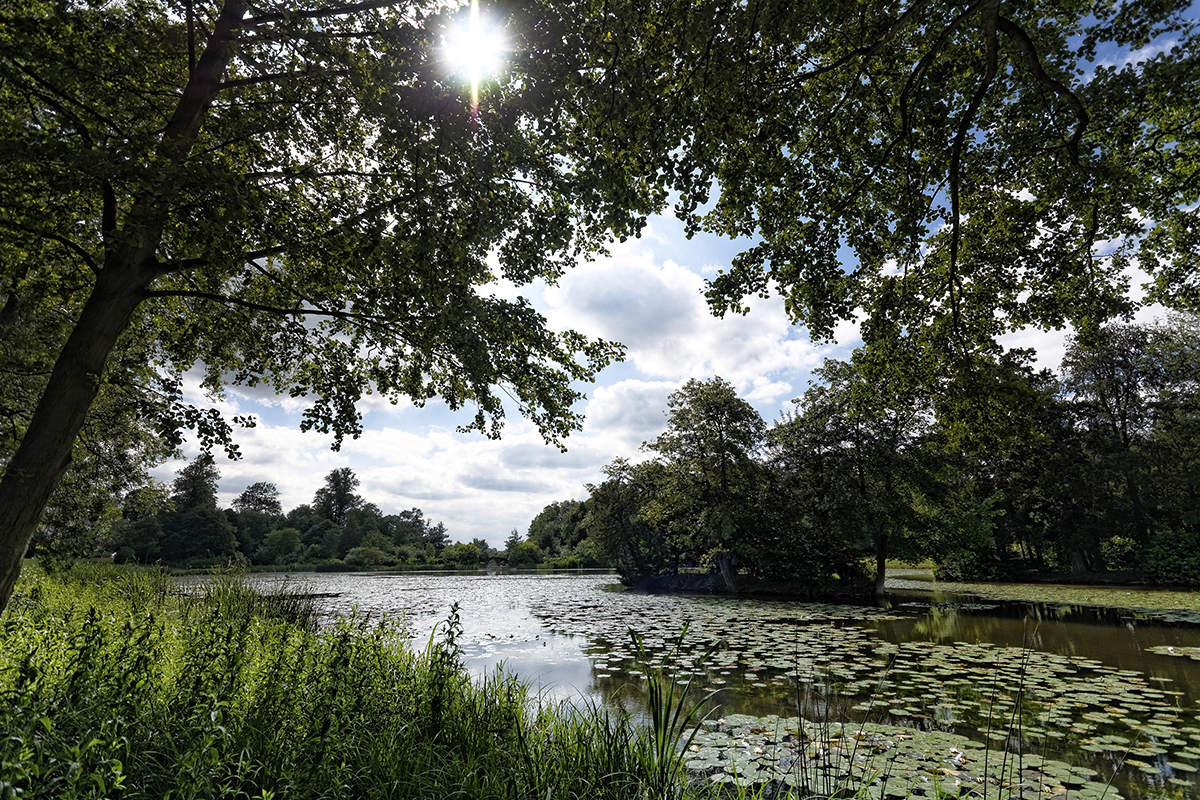 small_DSC9905_DxO