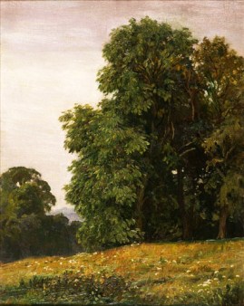 The Lawns Warham.jpg