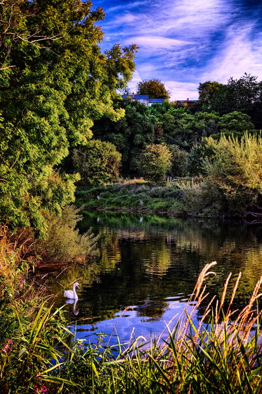 wye-at-belmont-possibly_32w